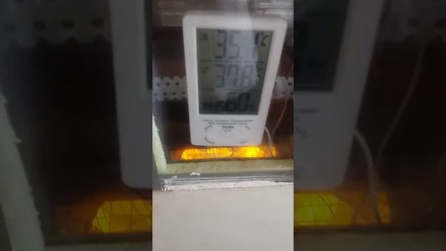 ТРМ12. Инкубатор самодельный. 280 куриное яйц. смотреть онлайн