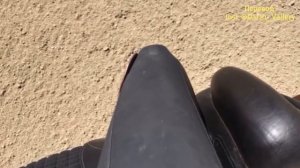 Оцениваем положение ноги . Верховая езда. Посадка всадника