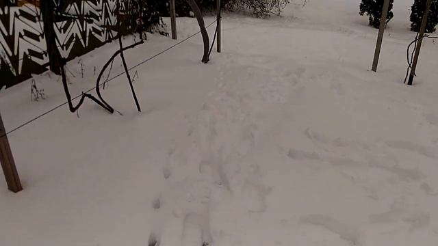 Оригинальное укрытие винограда на зиму "ПИТОН" смотреть онлайн