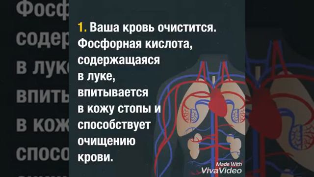 Лук. Лечение луком. Лук приложить в стопу смотреть онлайн