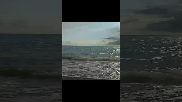 ЧЕРНОЕ МОРЕ смотреть онлайн