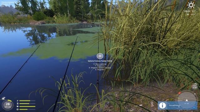 Рыбалка на Остроге. Амур и Угорь на фидер - Русская Рыбалка 4 #140 смотреть онлайн