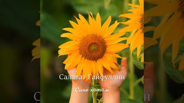 Сине котэм смотреть онлайн