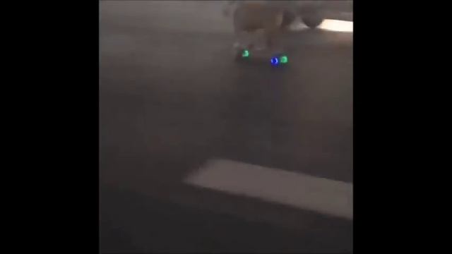 Щенячий патруль смотреть онлайн