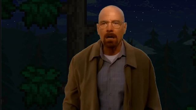 What If WALTER WHITE Was In Terraria