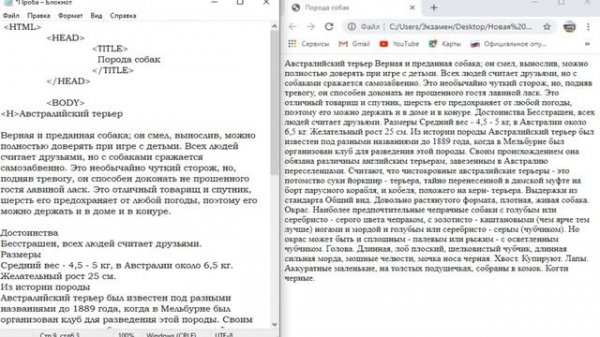 Основы языка HTML