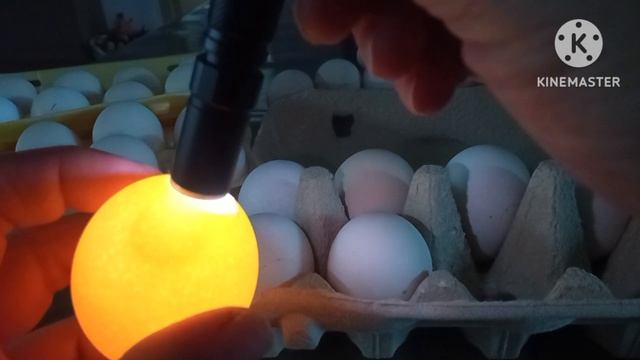 Строительные Перемены