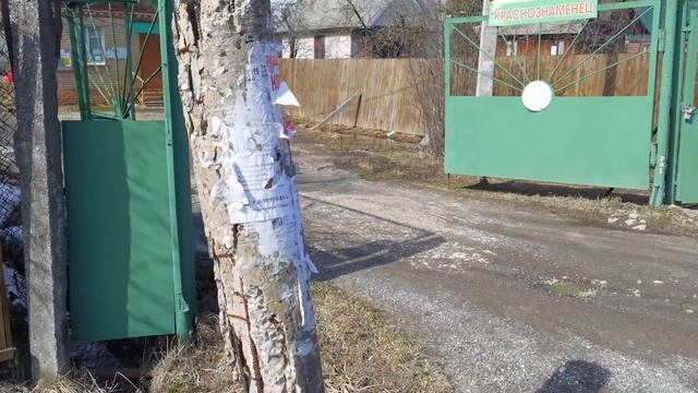 Гуляем с кошкой по деревне смотреть онлайн