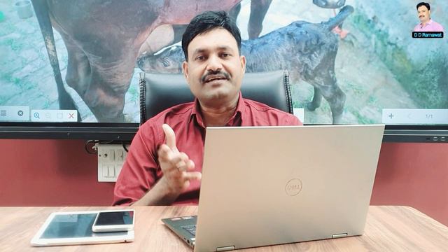 भैंस को मोटा तगड़ा कैसे बनाएं/ भैंस को मोटा करने का तरीका Ramawat смотреть онлайн