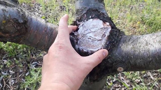 Результаты замазки из сурика и побелки. Можно ли ей пользоваться? смотреть онлайн