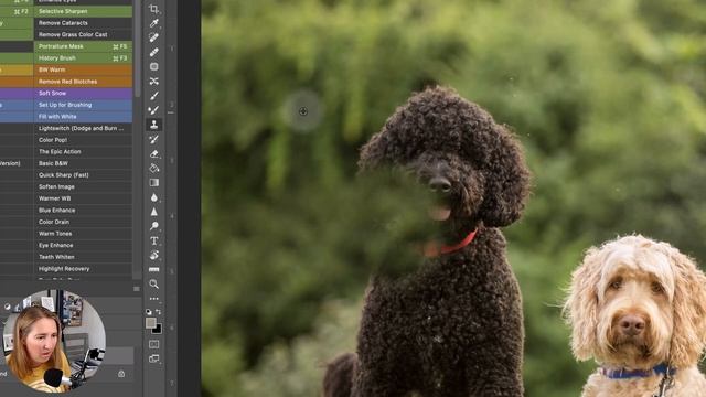 Using the Polygonal Lasso Tool to Select Leashes in Photoshop смотреть онлайн
