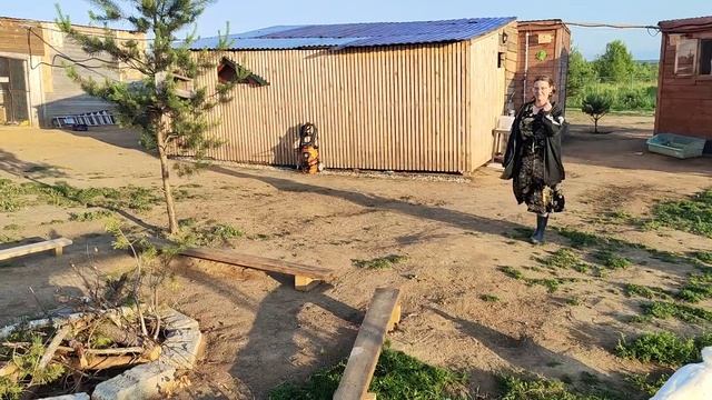 Посиделки с птицами у костра смотреть онлайн