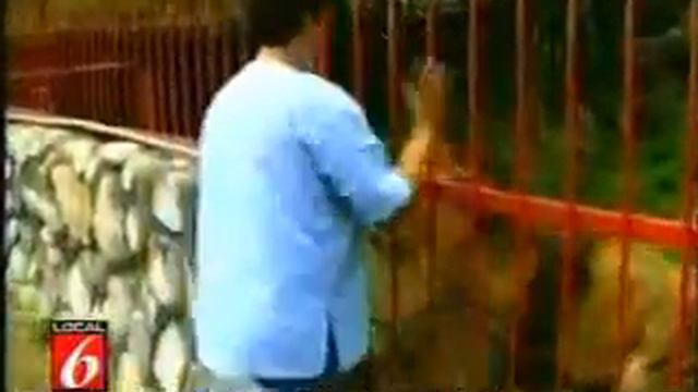 Перед тем как смотреть видео, прочтите текст! смотреть онлайн