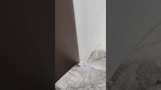 Ненадлежащее качество проделанных отделочных работ.