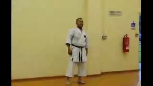 Sensei Kazuo Terauchi.  Karate Seminar Full, England 2009