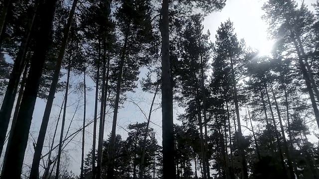 ВЛОГ | ПРИЕХАЛА В РОДНУЮ ДЕРЕВНЮ | СДЕЛАЛА ПАМЯТКУ ПРО ДЕДУШКУ | ЗИМА В ДЕРЕВНЕ смотреть онлайн