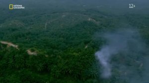 Спасти планету