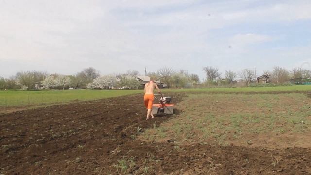 Мотоблок, обработка огорода мотоблоком за 20 минут. смотреть онлайн