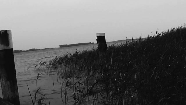 Claus Ulrich - Sea Song (Robert Wyatt Cover) смотреть онлайн