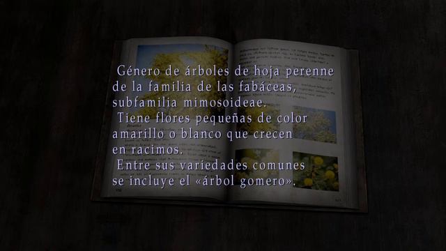 Silent Hill 2 Enhanced Edition - DLC Born from a wish смотреть онлайн