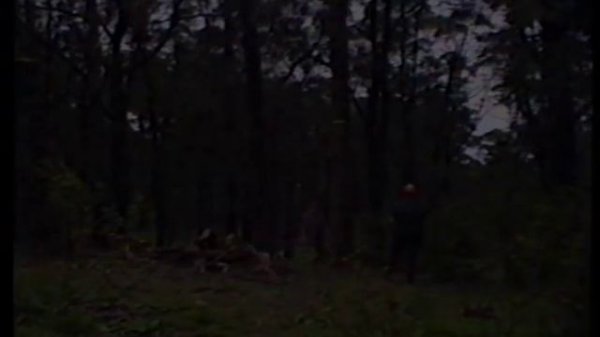 Basic Single Rope Technique Explained