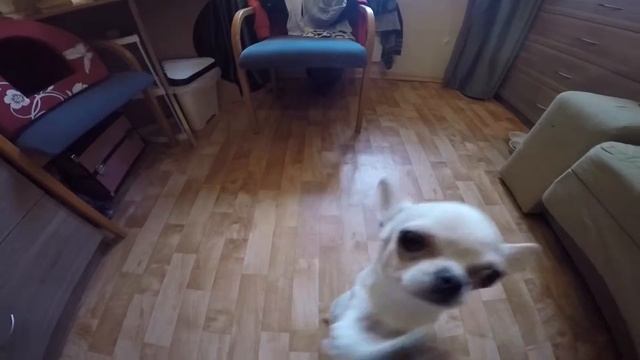 Грустно, дома, на экшн камеру