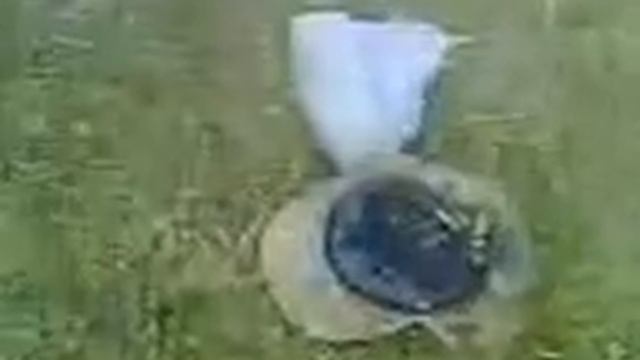 Шапка из настоящего дикобраза))).3gp смотреть онлайн