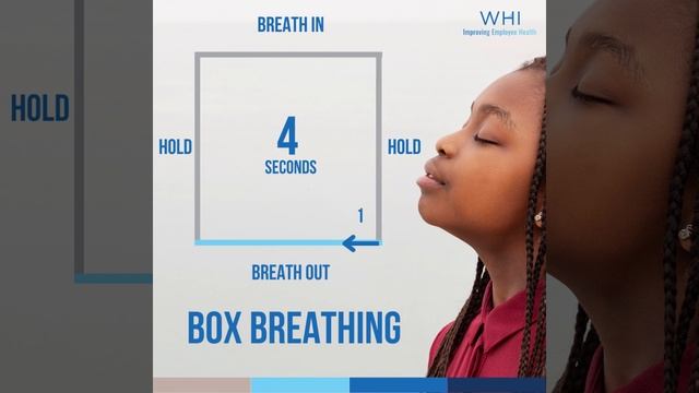 Box Breathing Video смотреть онлайн