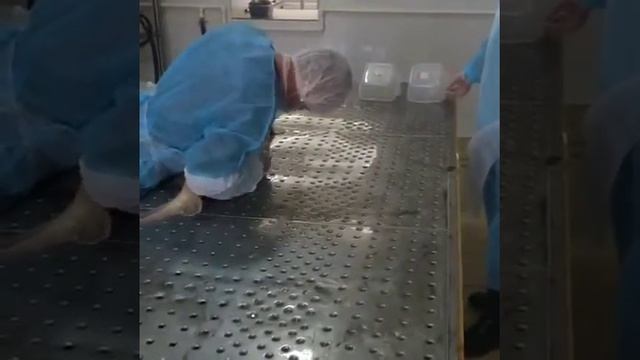 Извлечение ястыков смотреть онлайн