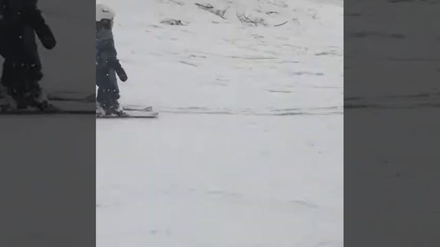 Коляска Reindeer Prestige Lily, цвет L5 смотреть онлайн