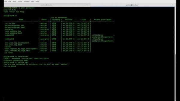Linux Tutorials - Backup & Restore PostgreSQL Databases and Use psql from the Command Line