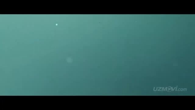 THE ASYLUM SHARK SEASON AKULA MAVSUMI o'zbek tilida Хориж киноси узбек тилида Акула мавсуми смотреть онлайн