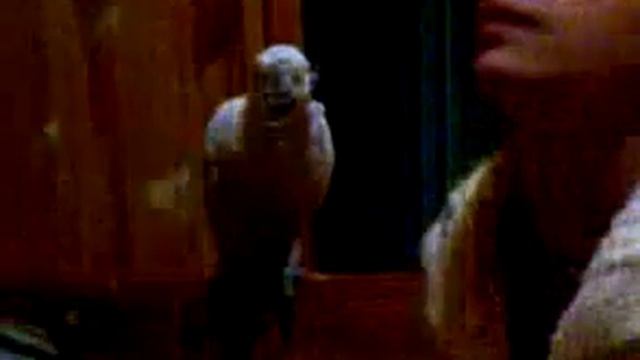 Тарелка супа на двоих