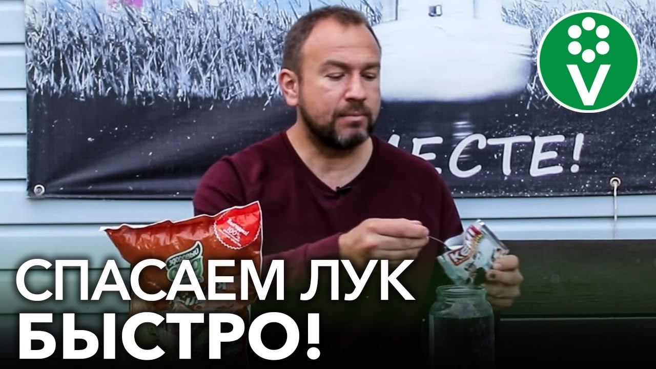ЛУКОВАЯ МУХА ИСЧЕЗНЕТ ЧЕРЕЗ 20 МИНУТ ПОСЛЕ ОБРАБОТКИ! смотреть онлайн