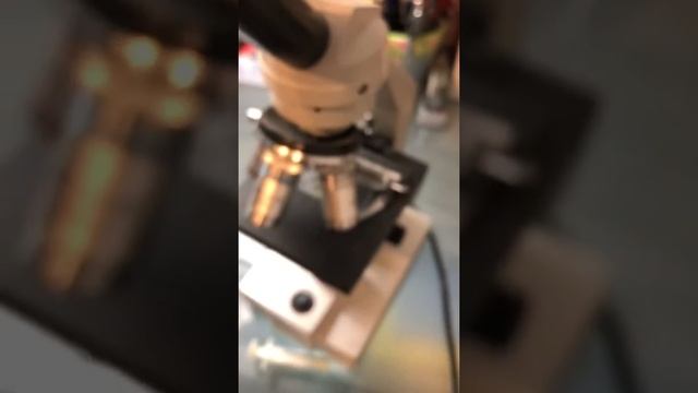 Biodiversity Scavenger Hunt: Water Bears смотреть онлайн