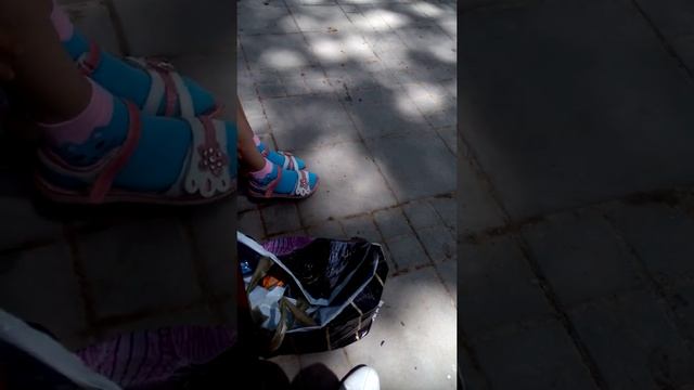 ВОРОБЕЙ КУШАЕТ С РУК! смотреть онлайн