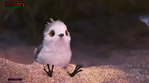 Песочник (Piper) Pixar [VaZaR@S†udio]