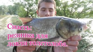 Снасть_ _резинка_ для ловли толстолоба.