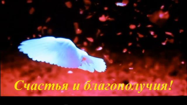 Голубь мира смотреть онлайн