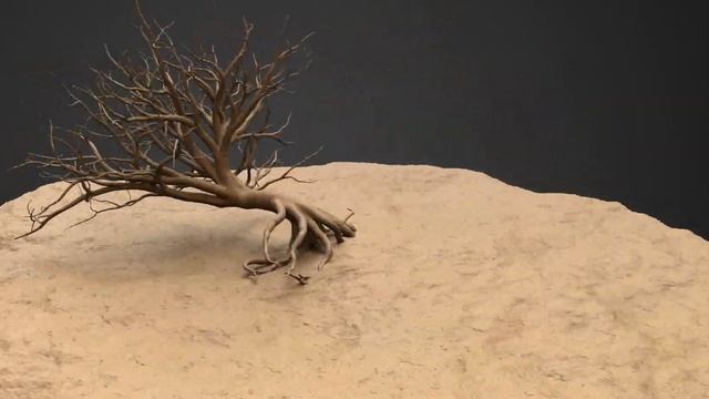 The tree generator in 3DCoat 2022 смотреть онлайн