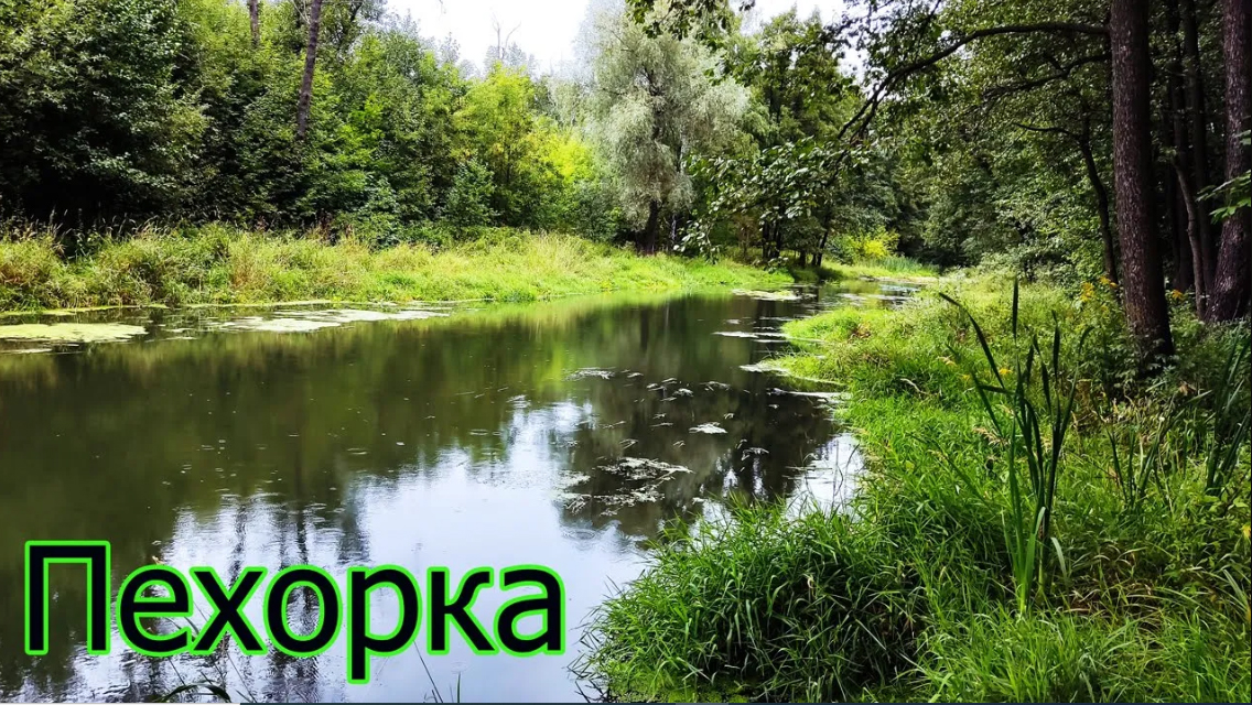 Рыбалка в Подмосковье_ Железнодорожный и Павлино, Пехорка. Ловля на поплавок в проводку и на стоячей смотреть онлайн