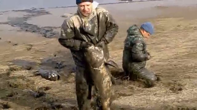Рыбалка в Ростовской области смотреть онлайн