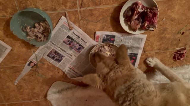 Мать кушает, дети спят на чистом одеяльце смотреть онлайн