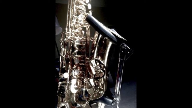 Lift Every Voice and Sing - (Saxophone Cover by James E. Green) смотреть онлайн