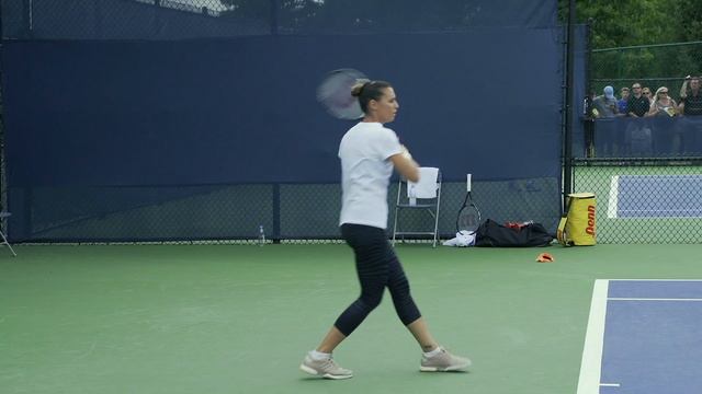 Flavia Pennetta | Forehand and Backhand #2 | Western & Southern Open 2014 смотреть онлайн
