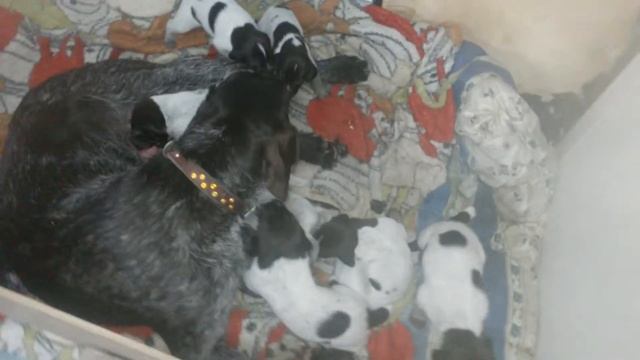 20150207 183428 смотреть онлайн