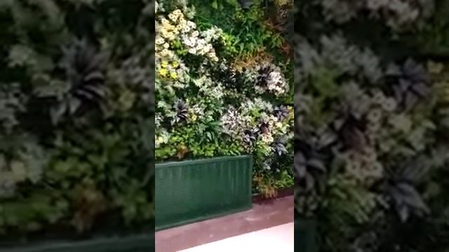 Фитостена серия "Сад Грез" "Золото лета" Собственное производство Квин Гарден смотреть онлайн