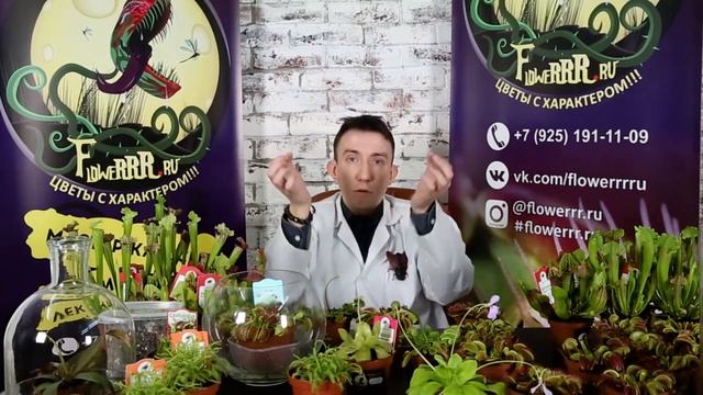 Влияние удобрений на хищные растения смотреть онлайн