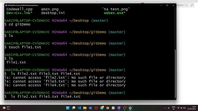 Git Commands (Basic) With Examples | Git & GitHub Tutorial Hindi #3 смотреть онлайн