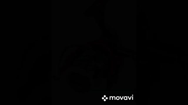 УДОЧКИ-КОМПЛЕКТ SALMO BLASTER POLE SET 3.0, 5.0, КАТУШКИ БЕЗЫНЕРЦИОННАЯ FEEDER, LUCKY. смотреть онлайн